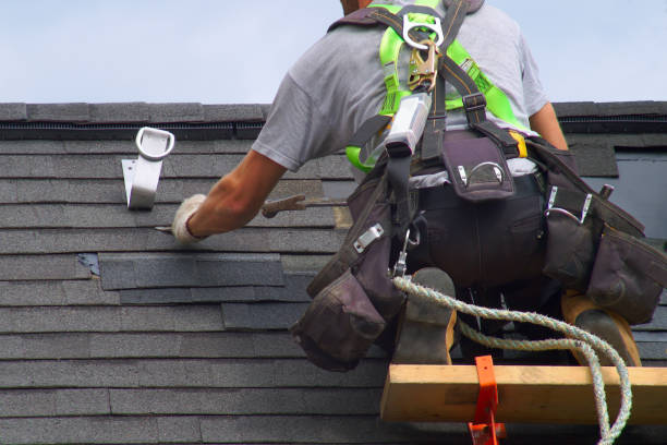 Best Roof Gutter Cleaning  in Mount Carroll, IL
