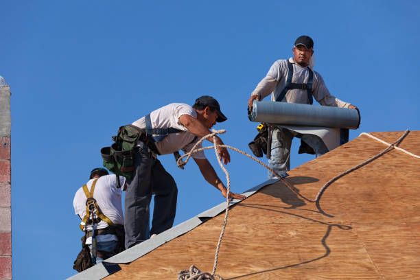 Best Affordable Roofing Company  in Mount Carroll, IL