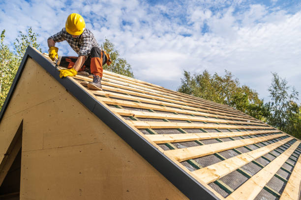 Best Flat Roof Repair Services  in Mount Carroll, IL