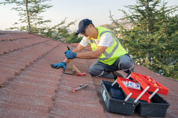 Best Roof Waterproofing Services  in Mount Carroll, IL