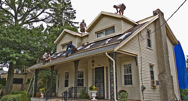 Best Roof Waterproofing Services  in Mount Carroll, IL