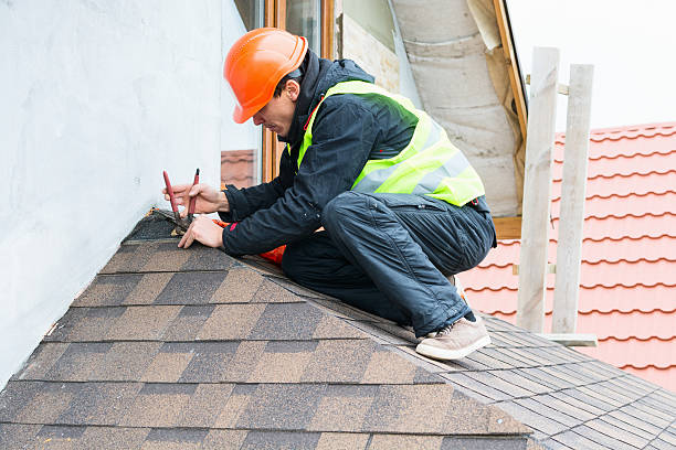 Best Metal Roofing Contractor  in Mount Carroll, IL